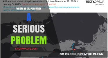 Oil Pollution: Where is it Harming the Most?