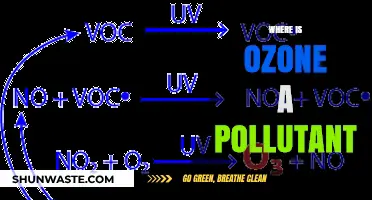Ozone Pollution: Where is it Harmful?