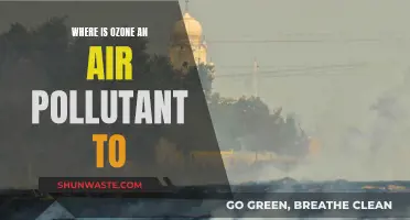 Ozone: From Friend to Foe in the Air