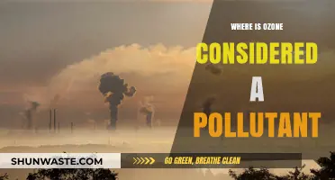 Ozone: A Pollutant in the Troposphere