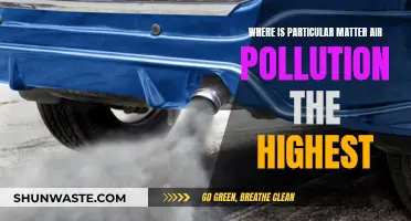 Air Pollution's Worst Hotspots: PM Levels
