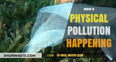 Physical Pollution: Where is it Happening?