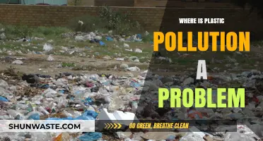 Plastic Pollution: A Global Problem
