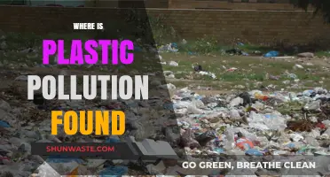 Plastic Pollution: A Global Problem