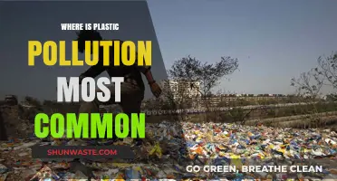 Plastic Pollution: Where is it Worst?