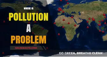 Pollution's Global Reach: Where is it a Problem?