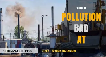 Pollution's Worst Offenders: A Global Crisis