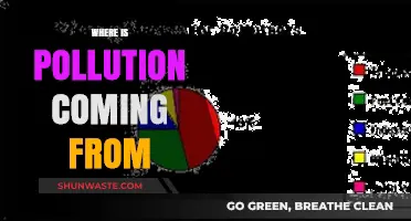 Sources of Pollution: What's Causing It?