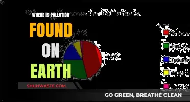 Pollution's Presence: A Global Crisis
