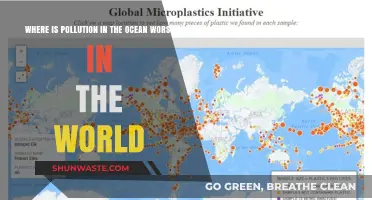 Ocean Pollution: The Worst Affected Areas Globally