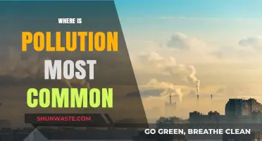 Pollution's Most Common Places Revealed