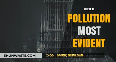 Pollution's Most Evident Locations: A Global Crisis