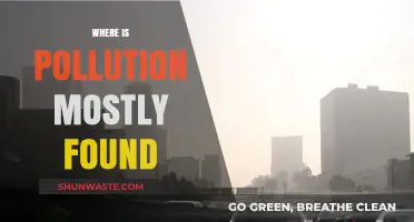 Urban Pollution: Where is it Found?