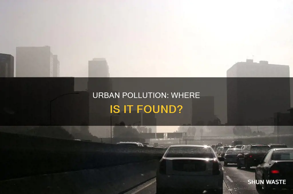 where is pollution mostly found