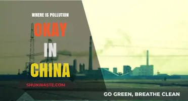 China's Pollution Paradox: Where is it Tolerated?