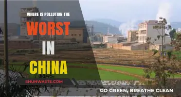 China's Pollution Crisis: Where is it Worst?