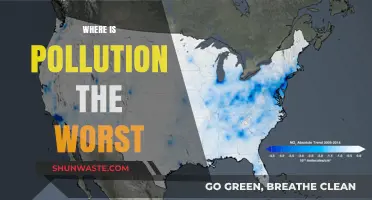 Pollution's Worst Offenders: A Global Perspective
