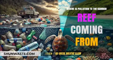 The Barrier Reef's Pollution: What's the Source?