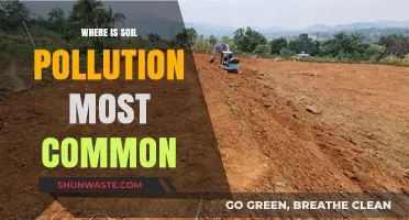 Soil Pollution: Where is it Most Prevalent?