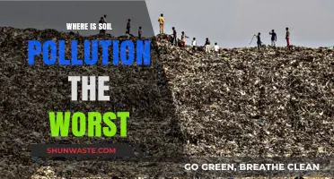Soil Pollution's Worst Offenders: A Global Crisis