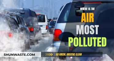 Air Pollution: Where is the World's Dirtiest Air?