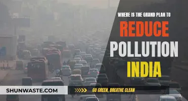 India's Pollution Problem: Where's the Plan?