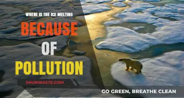 Melting Ice: Pollution's Impact on Our Planet