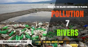 Plastic Pollution: These Rivers are the Major Culprits