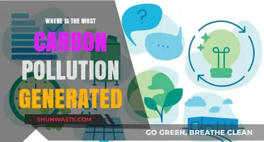 Carbon Pollution: Where Does It Come From?