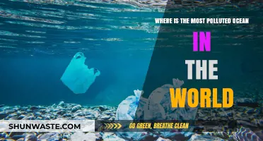 The Pacific Ocean: A Polluted Paradise