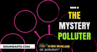 Mystery Polluter: Who is the Culprit?