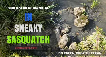 Finding the Polluting Pipe in Sneaky Sasquatch