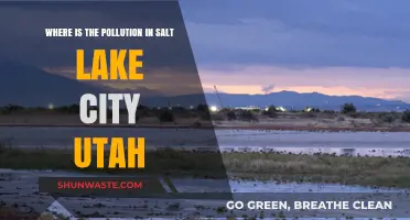 Salt Lake City's Pollution Problem: Where's the Danger?