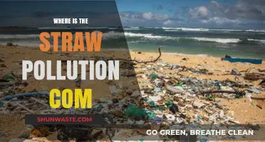 The Dark Side of Straws: Pollution's Impact
