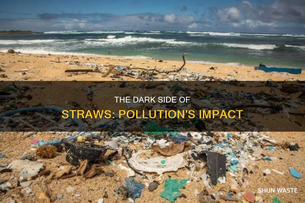 where is the straw pollution com