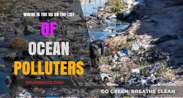 Ocean Polluters: Where Does the US Rank?