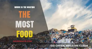 Global Food Waste: Identifying the Biggest Culprits