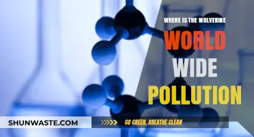 Wolverine World Wide's Pollution Legacy: Where's the Accountability?