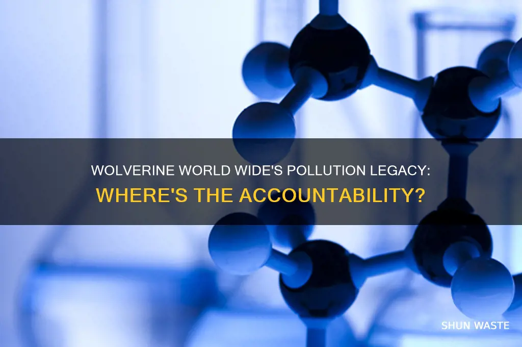 where is the wolverine world wide pollution