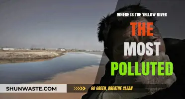 Yellow River Pollution: Where is it Worst?
