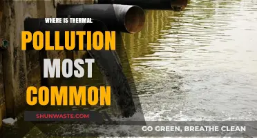 Thermal Pollution: Where is it Most Prevalent?
