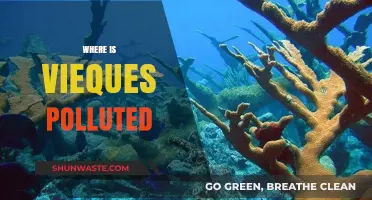 Vieques: A Paradise Polluted by Military Bombs