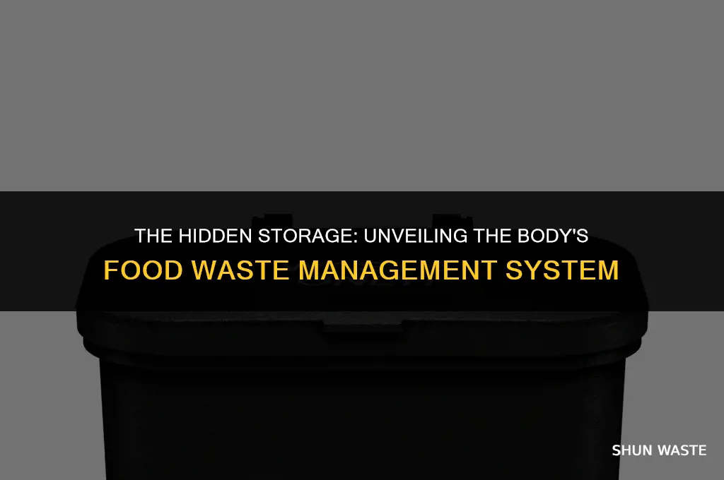where is waste food stored in the body