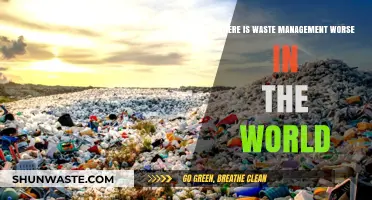 Global Waste Crisis: Identifying the Worst-Hit Regions
