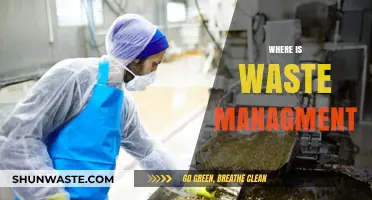 Where Waste Management Meets Innovation: A Sustainable Future