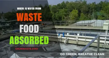 Unveiling the Journey: Where Water from Waste Food Absorbs