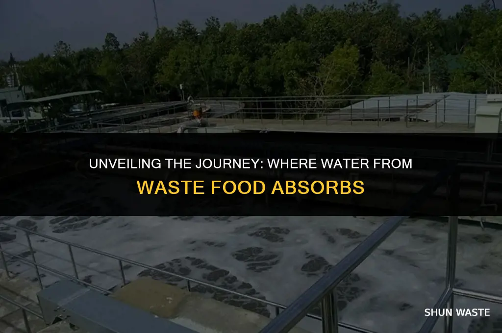 where is water from waste food absorbed
