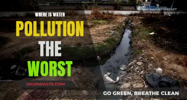 Global Water Crisis: The Most Polluted Regions Revealed