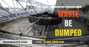 Untreated Human Waste Disposal: Risks, Locations, and Environmental Impact