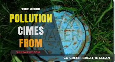 Nutrient Pollution: The Unseen Sources Revealed